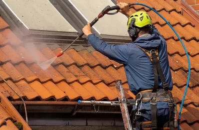Démoussage et hydrofuge de toiture à Cohennoz